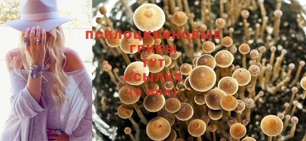 марихуана Богородицк