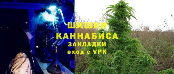 тгк Богородск